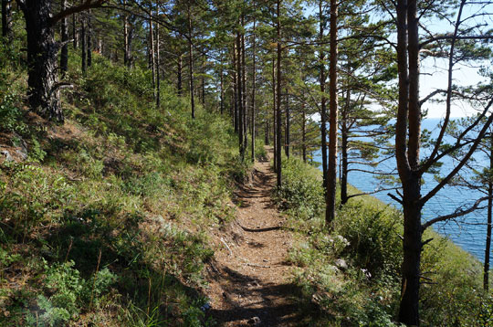 Hike on lake Baikal