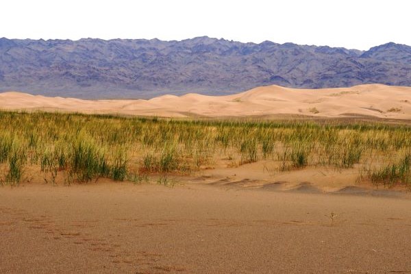 Die Mongolei Reise - Wüste Gobi
